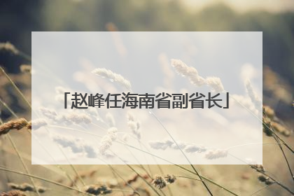 赵峰任海南省副省长
