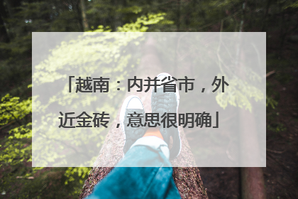 越南：内并省市，外近金砖，意思很明确