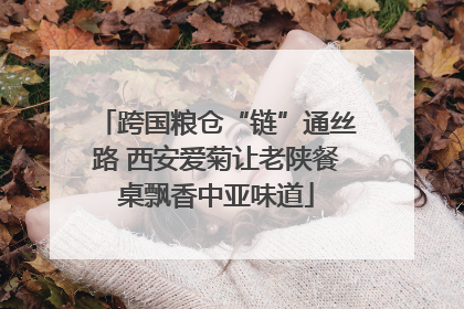 跨国粮仓“链”通丝路 西安爱菊让老陕餐桌飘香中亚味道