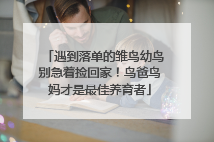 遇到落单的雏鸟幼鸟别急着捡回家！鸟爸鸟妈才是最佳养育者
