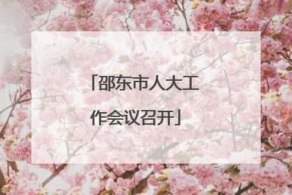 邵东市人大工作会议召开