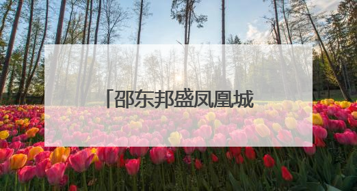 邵东邦盛凤凰城小区业委会筹备十年未果，相关部门回应来了
