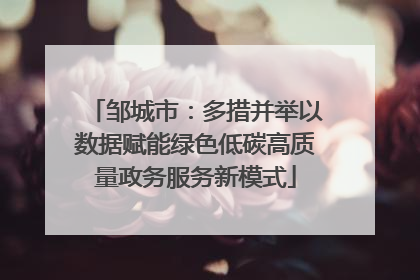 邹城市：多措并举以数据赋能绿色低碳高质量政务服务新模式