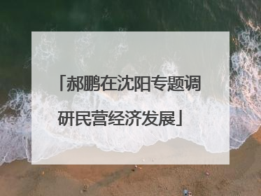 郝鹏在沈阳专题调研民营经济发展