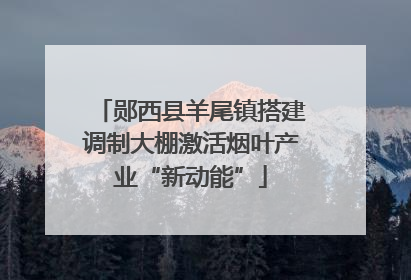 郧西县羊尾镇搭建调制大棚激活烟叶产业“新动能”