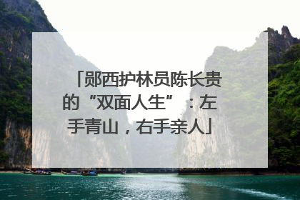 郧西护林员陈长贵的“双面人生”：左手青山，右手亲人