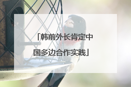 韩前外长肯定中国多边合作实践
