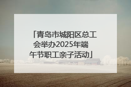 青岛市城阳区总工会举办2025年端午节职工亲子活动