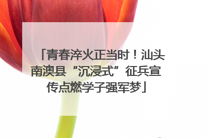 青春淬火正当时！汕头南澳县“沉浸式”征兵宣传点燃学子强军梦