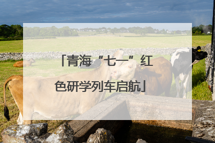 青海“七一”红色研学列车启航