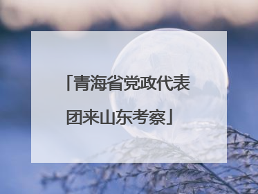 青海省党政代表团来山东考察