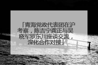 青海党政代表团在沪考察，陈吉宁龚正与吴晓军罗东川座谈交流，深化合作对接