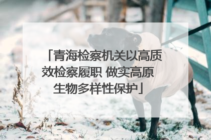 青海检察机关以高质效检察履职 做实高原生物多样性保护