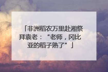 非洲稻农万里赴湘祭拜袁老：“老师，冈比亚的稻子熟了”