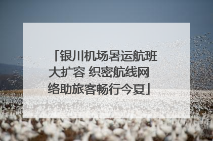 银川机场暑运航班大扩容 织密航线网络助旅客畅行今夏