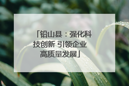 铅山县：强化科技创新 引领企业高质量发展