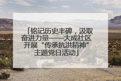 铭记历史丰碑，汲取奋进力量——大成社区开展“传承抗洪精神”主题党日活动