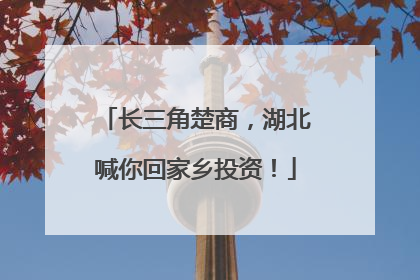 长三角楚商，湖北喊你回家乡投资！