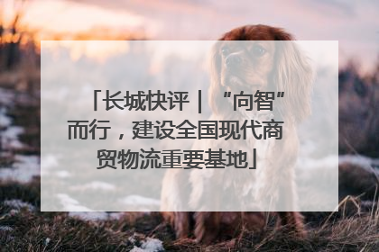 长城快评｜“向智”而行，建设全国现代商贸物流重要基地
