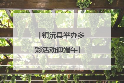 镇沅县举办多彩活动迎端午