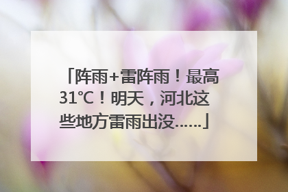 阵雨+雷阵雨！最高31℃！明天，河北这些地方雷雨出没……