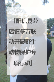阳信县劳店镇多方联动开展野生动物保护专项行动