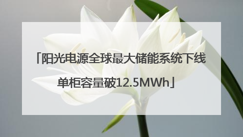阳光电源全球最大储能系统下线 单柜容量破12.5MWh