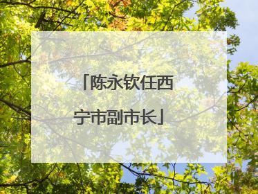 陈永钦任西宁市副市长