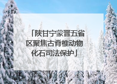 陕甘宁蒙晋五省区聚焦古脊椎动物化石司法保护