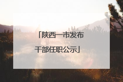 陕西一市发布干部任职公示