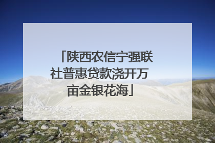 陕西农信宁强联社普惠贷款浇开万亩金银花海