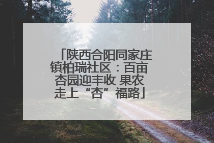 陕西合阳同家庄镇柏瑞社区：百亩杏园迎丰收 果农走上“杏”福路