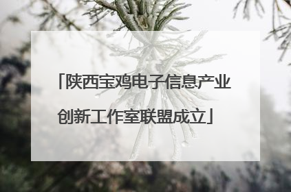 陕西宝鸡电子信息产业创新工作室联盟成立