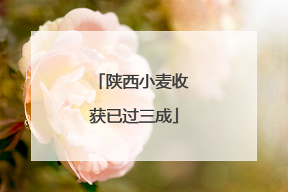 陕西小麦收获已过三成