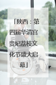 陕西：第四届华清宫贵妃荔枝文化节盛大启幕