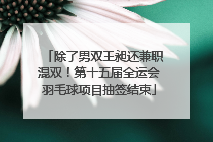除了男双王昶还兼职混双！第十五届全运会羽毛球项目抽签结束