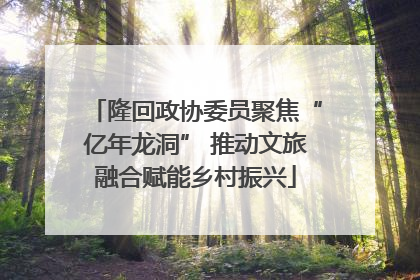 隆回政协委员聚焦“亿年龙洞” 推动文旅融合赋能乡村振兴