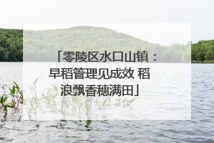 零陵区水口山镇：早稻管理见成效 稻浪飘香穗满田