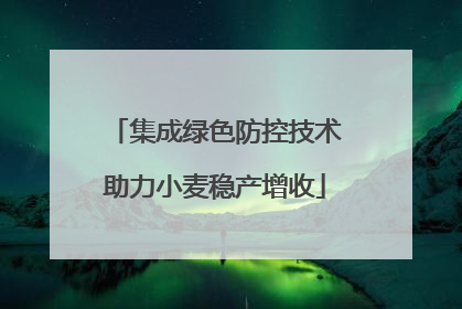 集成绿色防控技术助力小麦稳产增收