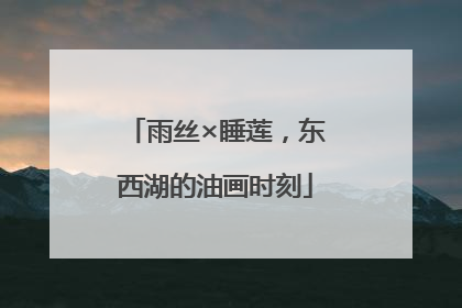 雨丝×睡莲，东西湖的油画时刻