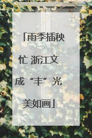 雨季插秧忙 浙江文成“丰”光美如画