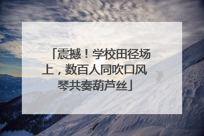 震撼！学校田径场上，数百人同吹口风琴共奏葫芦丝