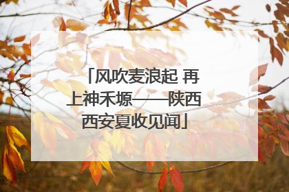 风吹麦浪起 再上神禾塬——陕西西安夏收见闻