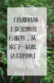 首都机场上新宠物出行服务，从家门一站抵达目的地