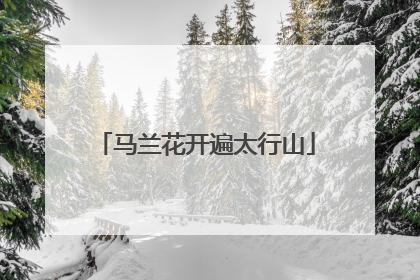 马兰花开遍太行山