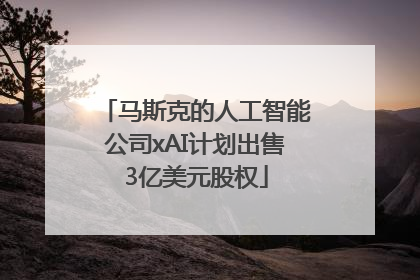 马斯克的人工智能公司xAI计划出售3亿美元股权