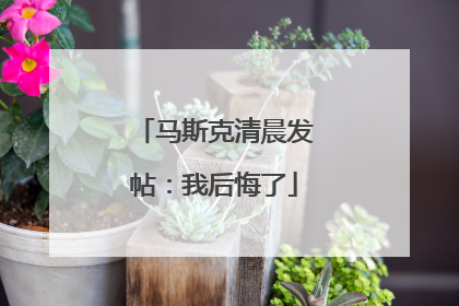 马斯克清晨发帖：我后悔了