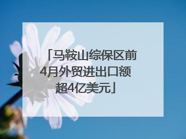 马鞍山综保区前4月外贸进出口额超4亿美元