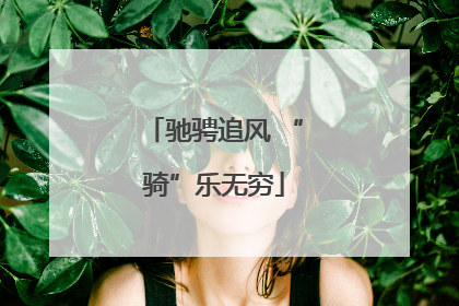 驰骋追风 “骑”乐无穷