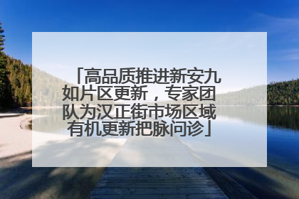 高品质推进新安九如片区更新，专家团队为汉正街市场区域有机更新把脉问诊